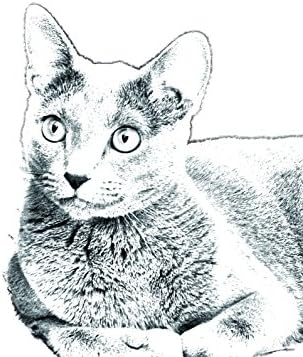 Арт Дог Оод. Руски Сини, Овално Надгробен камък от Керамични плочки с Изображение на котка