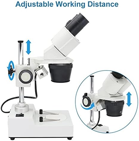 ZHYH Бинокъла на стереомикроскоп Промишлен стереомикроскоп Горната led светлини Инструмент за ремонт на спояване на печатни платки