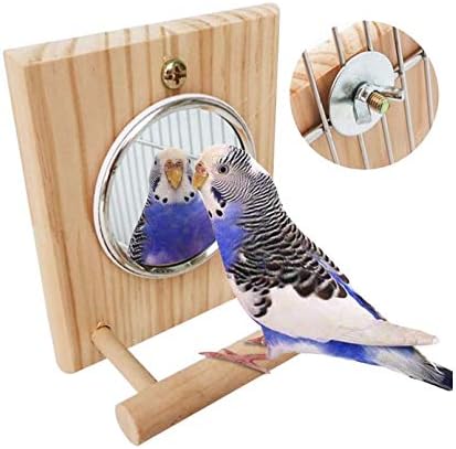 Bird ' s Огледало Hamiledyi с Дървени Насестом, Забавни Играчки-Стойка за клетка за Клетки